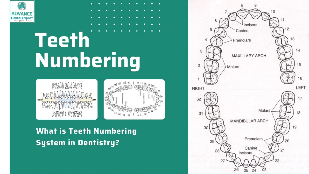 Dentistry Guidelines