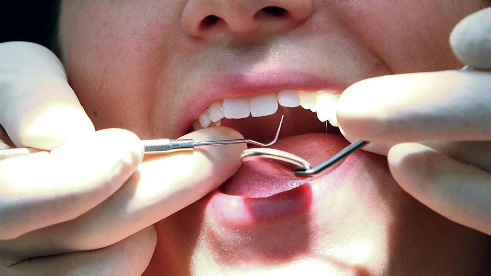 dental school requirements
