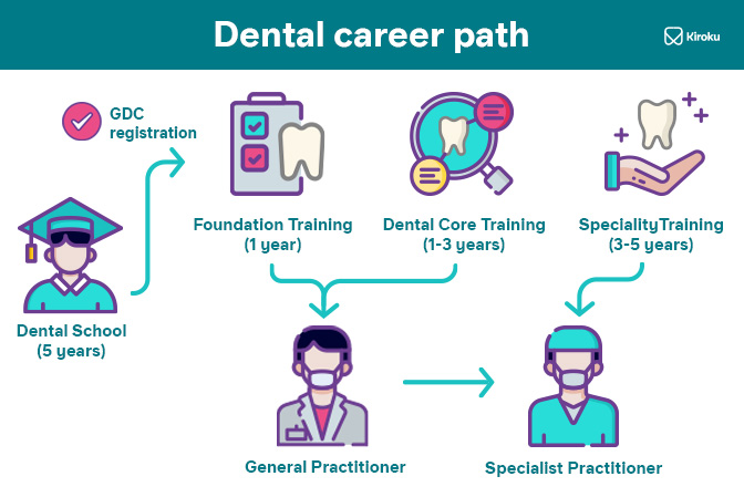 Best Dentistry Textbooks for Students and Professionals