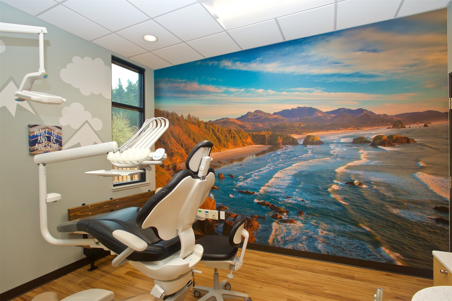 Dentistry Career Paths: 2026 Guide to Roles and Requirements