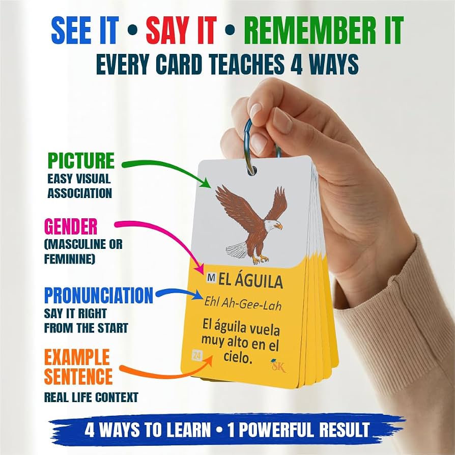 Digital Flashcard App