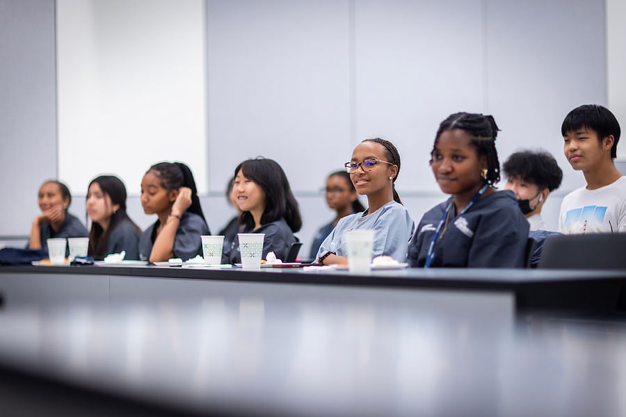 dental mentorship program