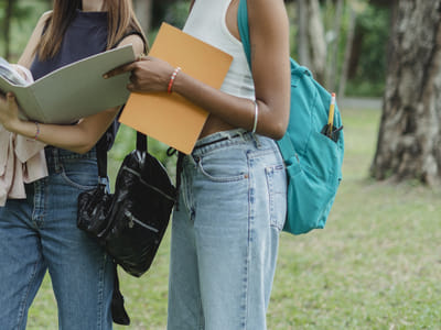 A Comprehensive Guide to Dental School Prerequisites and Admission Requirements