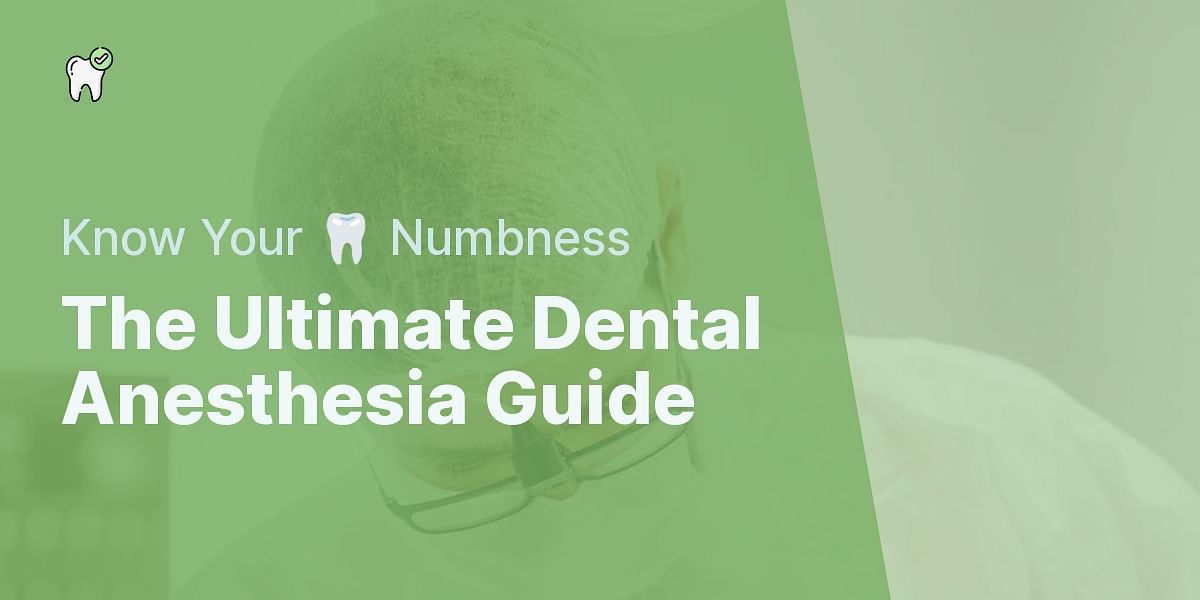 Dental Anesthesia A Comprehensive Guide to the Various Types and Their