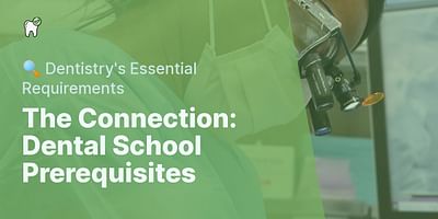 The Connection: Dental School Prerequisites - 🔍 Dentistry's Essential Requirements