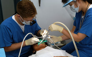 What are some alternative career options for dentists?